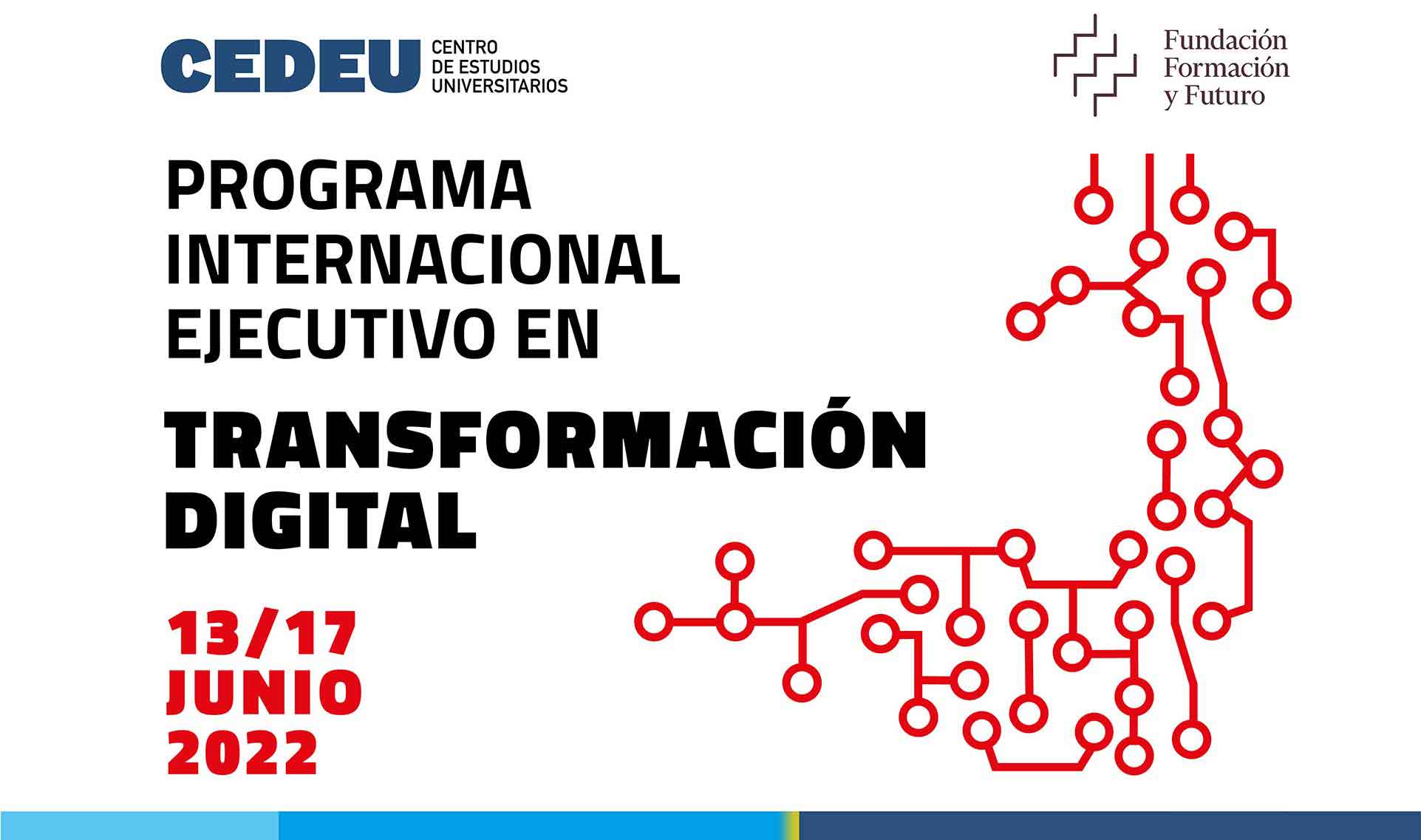Programa Internacional Ejecutivo en Transformación Digital CEDEU